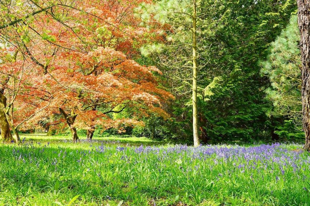 Cotswold Manor House - Country House Retreat With Hot Tub, Ideal For Large Groups Petty France Экстерьер фото